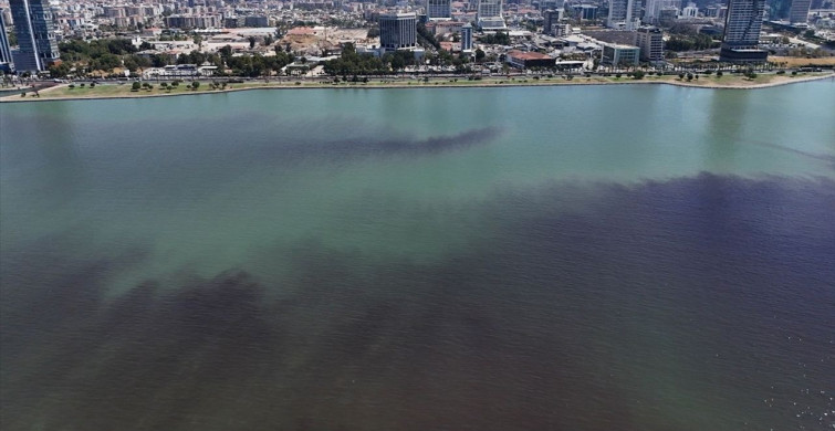 İzmir Körfezi'nde Yeniden Balık Ölümleri Yaşanıyor