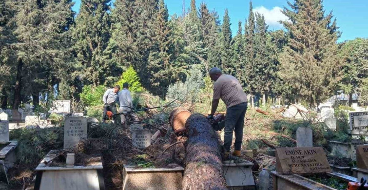 İzmir Mezarlıklarında Fırtına Sonrası Onarım Çalışmaları