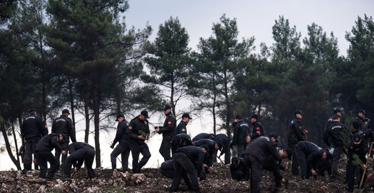İzmir ve Çevresinde Ağaçlandırma Seferberliği