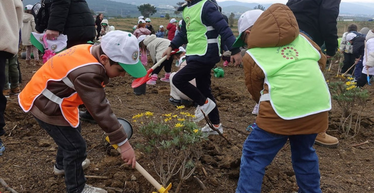 İzmir'de 100 Bin Fidan Dikildi