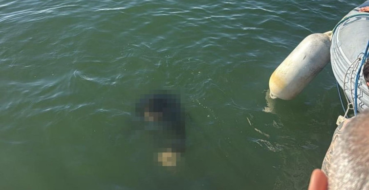 İzmir'de Akülü Tekerlekli Sandalyeden Denize Düşen Engelli Hayatını Kaybetti