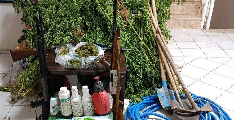 İzmir'de Hint Keneviri Yetiştiren Şüpheli Yakalandı