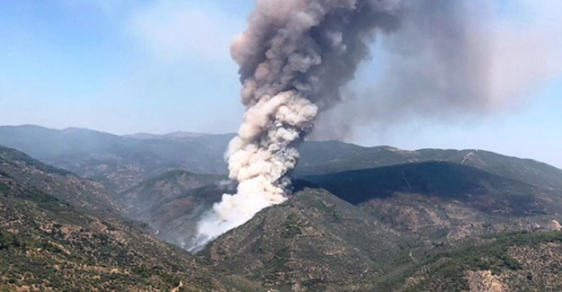 İzmir'de Korkutan Orman Yangını
