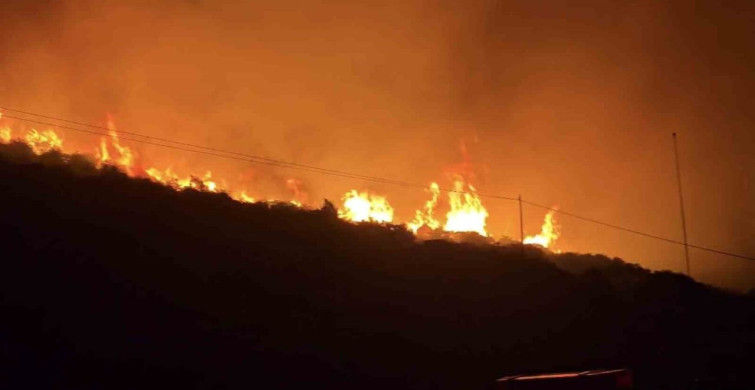 İzmir’de makilik alanda yangın kontrol altına alındı