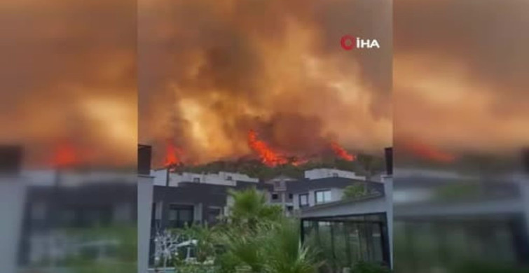 İzmir’de makilik alandaki yangın kontrol altına alındı