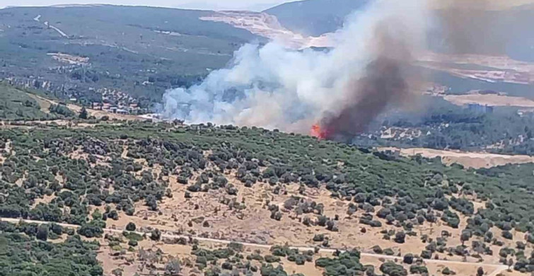 İzmir'de orman yangınına havadan ve karadan müdahale