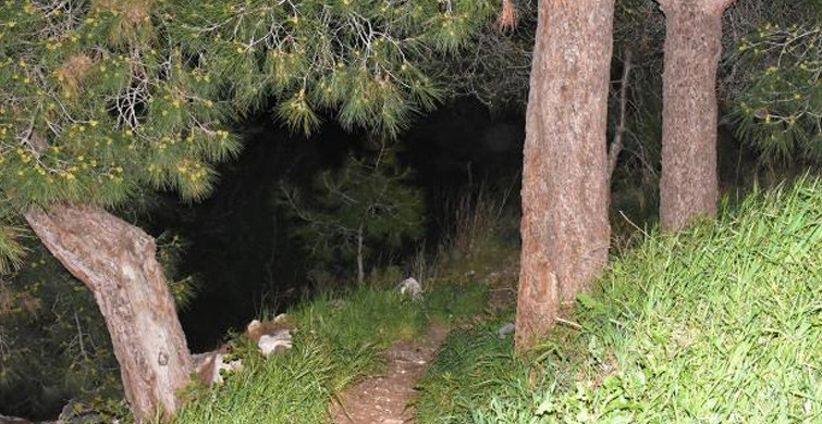 İzmir'de Ormanda Kafatası ve Kaburga Bulundu