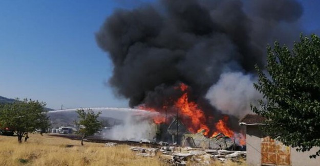 İzmir'de Palet Fabrikasında Yangın Çıktı