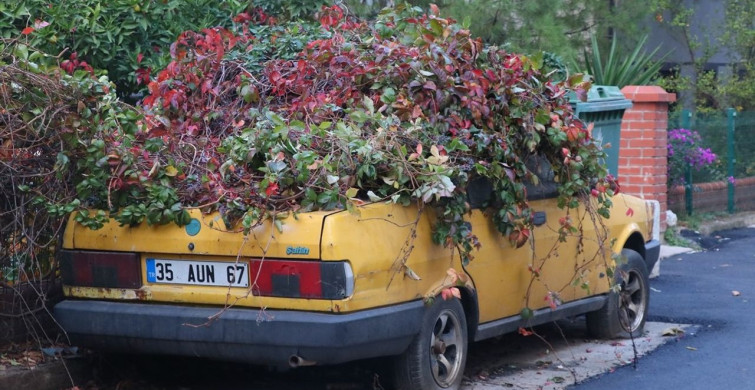 İzmir'de Sarmaşıklarla Kaplanan Park Halindeki Araç