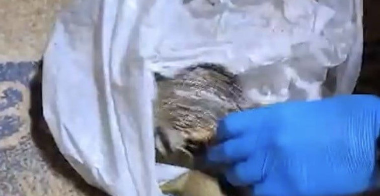 İzmir'de Tarihi Eser Kaçakçılığı Operasyonu