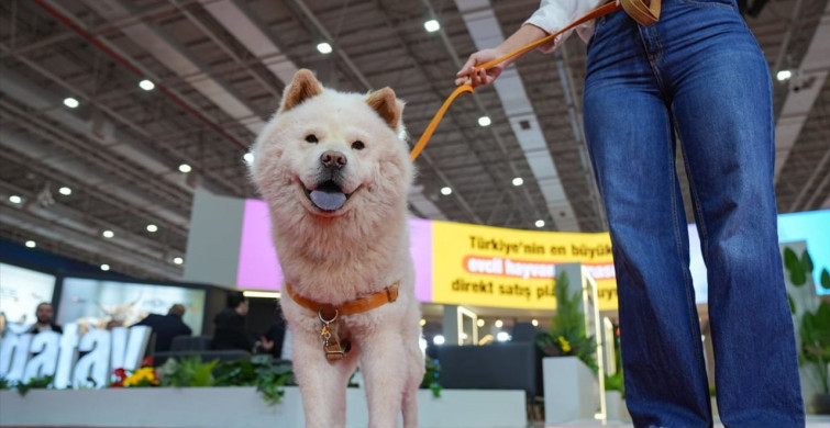 İzmir'de Uluslararası Evcil Hayvan Ürünleri Fuarı Açıldı