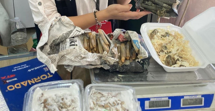 İzmir'de Yasa Dışı Su Ürünleri Avcılığına Darbe: 7 Ton Midye Ele Geçirildi