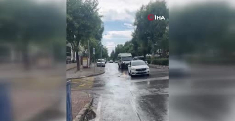 İzmir'deki Kedi Vahşeti: Veteriner Hekim Serbest Bırakıldı, Başsavcılıktan İtiraz