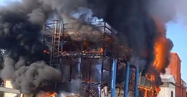 İzmir'deki Salça Fabrikasında Yangın Çıktı