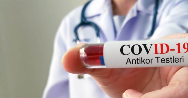 İzmir'den 50 Ülkeye Antikor Testi İhracatı