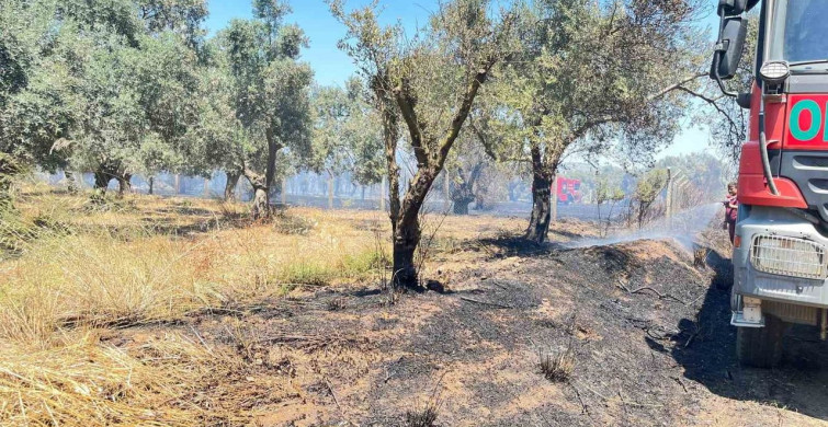 İzmir'in Bayındır ilçesinde çıkan yangın 1 saatte kontrol altına alındı