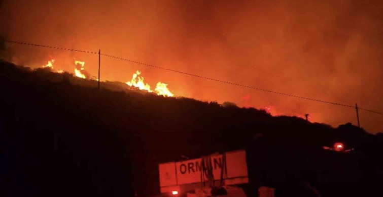 İzmir’in Dikili ilçesinde makilik alanda yangın