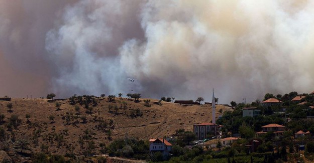İzmir'in Karabağlar İlçesinde Orman Yangını