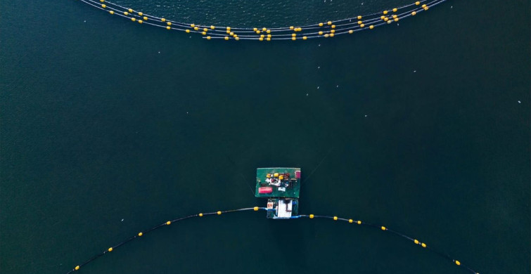 İzmit Körfezi'nde Dip Çamuru Temizleme Projesi Başarıyla Tamamlandı