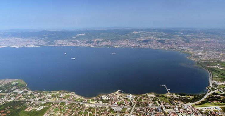 İzmit körfezindeki yosunların sebebi ne? Yosun zararlı mı nasıl oluşur?
