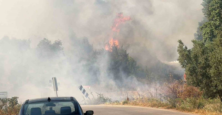İznik'te çöp depolama tesisinde yangın