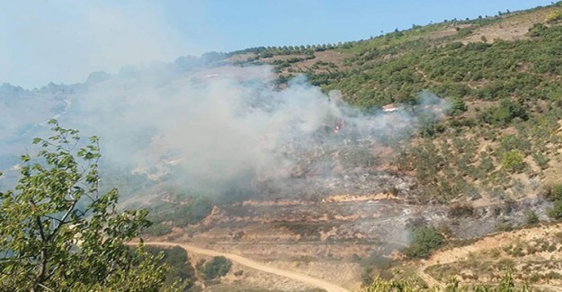 İznik'te Yangın