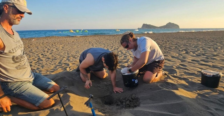İztuzu Plajı'nda 30 Bin Caretta Caretta Yavrusunun Denizle Buluşması