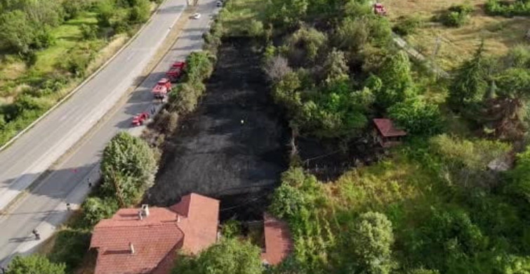 Jandarma, alevlerin arasında kalan kaplumbağa ve yavrularını kurtardı