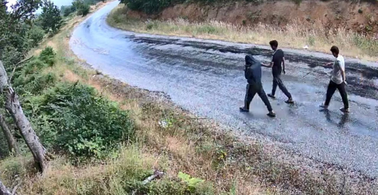 Jandarmanın fotokapanlarıyla 1 yılda bin 847 şüpheli yakalandı