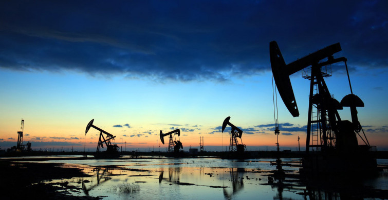 Japonya'dan flaş karar: Rusya'ya olan petrol ithalatını yasaklanıyor