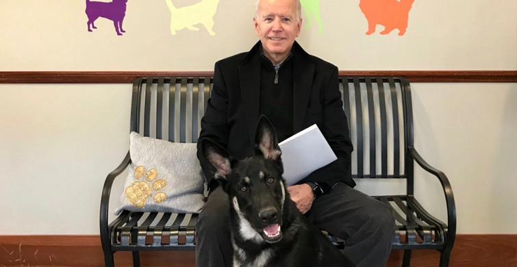 Joe Biden'ın Köpeği Birini Daha Isırdı