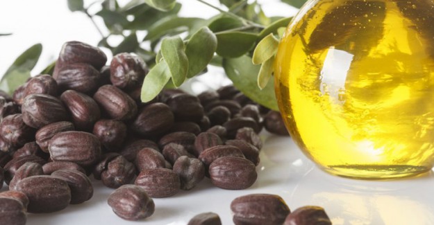 Jojoba Yağı Cilde Nasıl Uygulanır?
