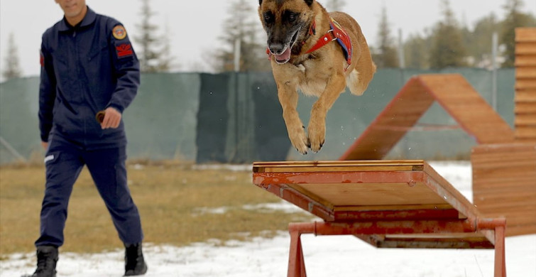 Kadavra Tespit Köpeği Sima'nın Başarılı Görevleri