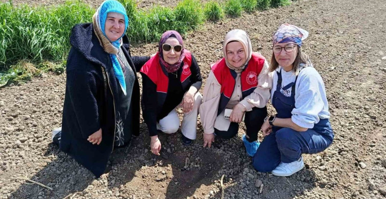 Kadın Çiftçiler Fasulye Tohumlarını Toprakla Buluşturdu