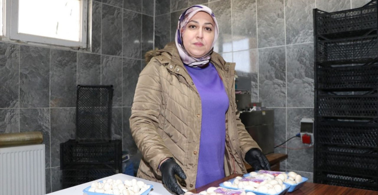 Kadın Girişimci 75 Ton Mantar Üretiyor