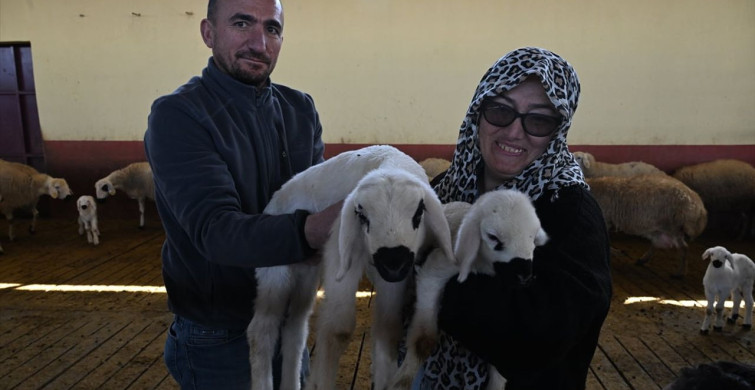 Kadın Girişimci Asiye Sağır'ın Hayvancılık Başarısı