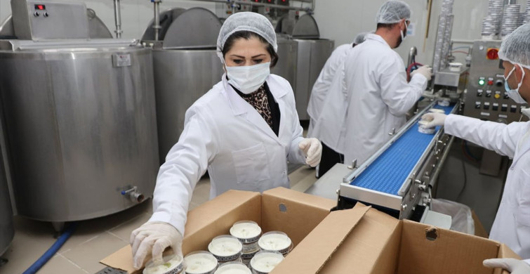 Kadın Girişimci Dondurma Markasıyla Zirveye Çıkıyor