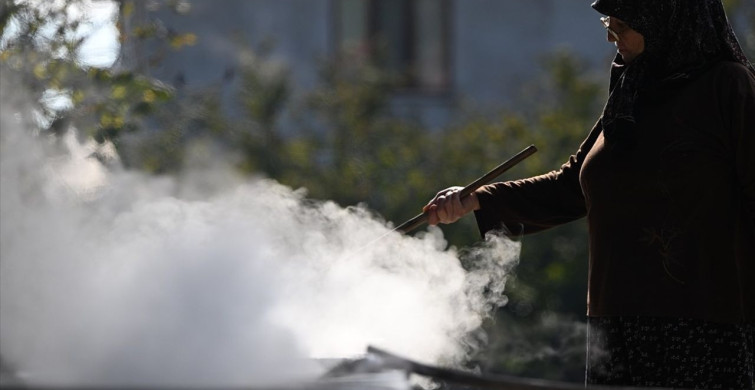 Kadın Girişimci Reyhan Kutlu'dan Doğal Şeker Kamışı Pekmezi Üretimi