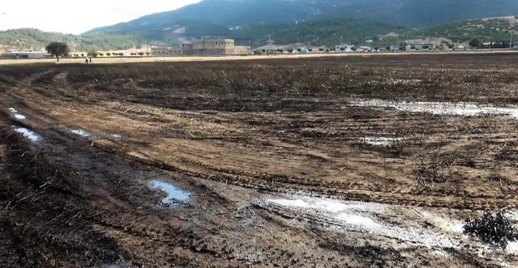 Kahramanmaraş’ta Buğday Tarlası Yandı