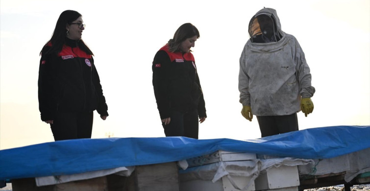 Kahramanmaraş'ta Deprem Sonrası Arıcılık Faaliyetleri