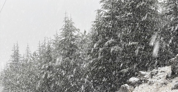 Kahramanmaraş'ta Kar Yağışı Etkisini Gösterdi
