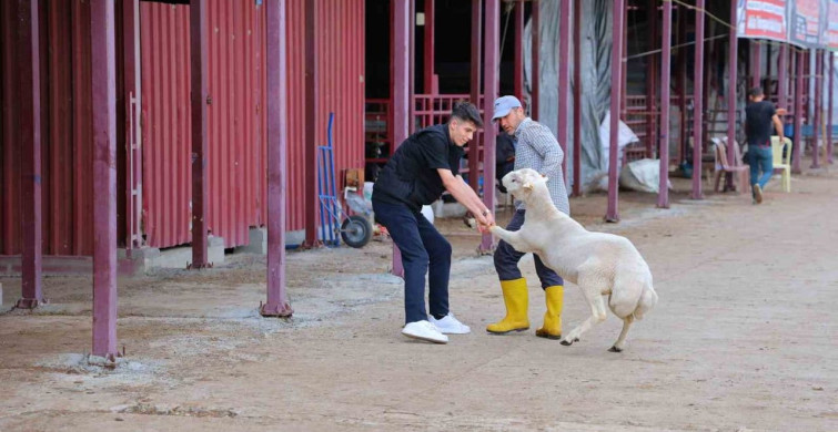Kahramanmaraş'ta Kurban Bayramı Hazırlıkları Tamamlandı
