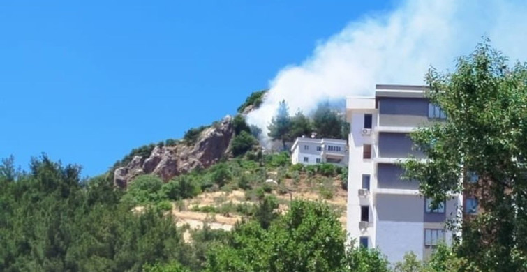 Kahramanmaraş'ta orman yangını kontrol altına alındı