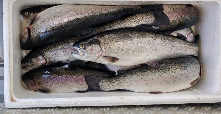 Kahramanmaraş’ta Su Ürünleri Av Yasağı Uygulaması Başladı