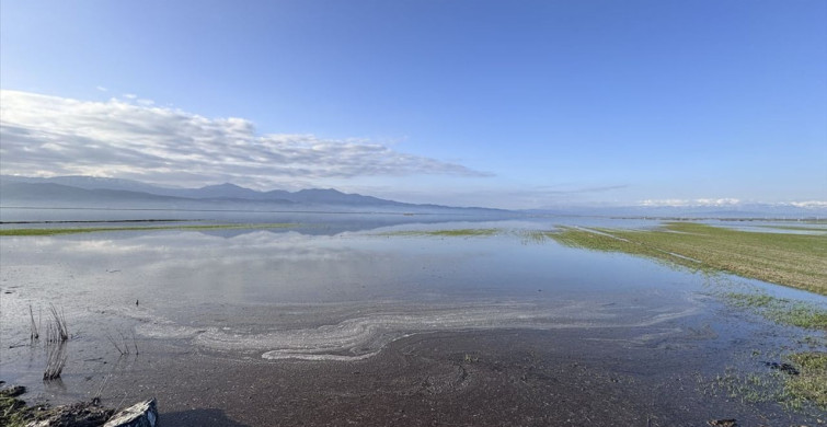 Kahramanmaraş'ta Yağmur Sonrası Tarım Arazileri Sular Altında Kaldı