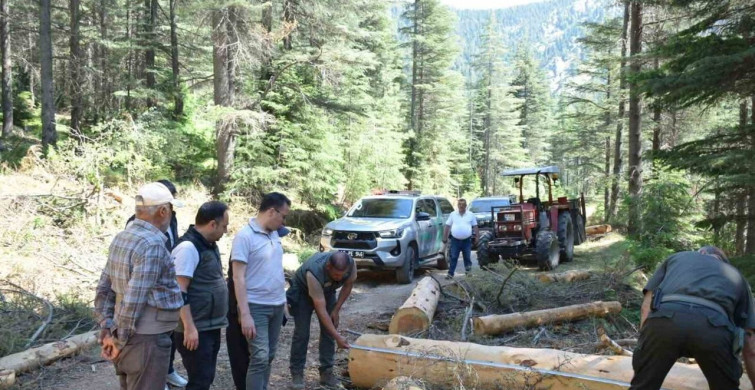 Kahramanmaraş'ta yangın riskine karşı yol kenarlarında temizlik ve bakım