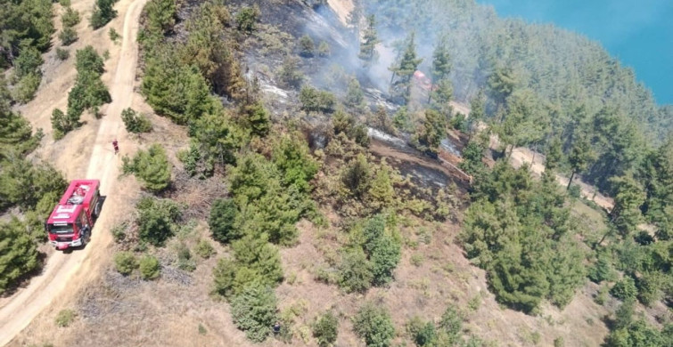 Kahramanmaraş'taki orman yangını kontrol altına alındı