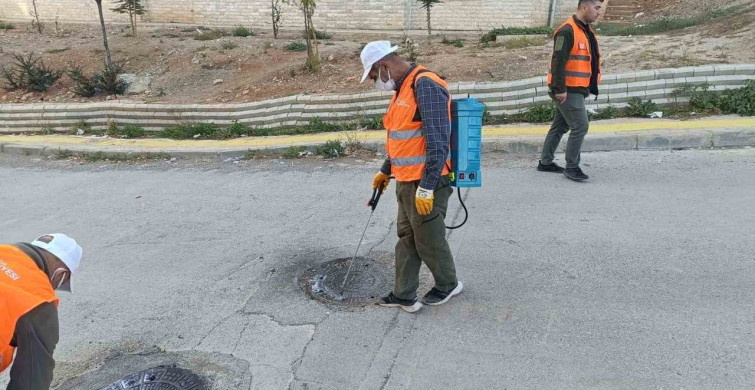 Kahta Belediyesi Yaz Aylarında Haşerelere Karşı Sıkı Önlemler Alıyor