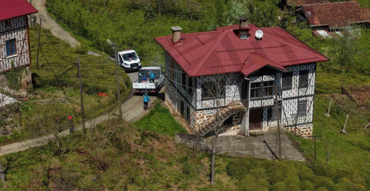 Kahverengi Kokarca İle Mücadelede İlaçlama Faaliyetleri Hız Kazandı