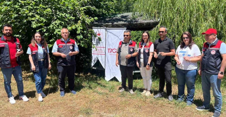 Kahverengi kokarca ile mücadelede samuray arıcıkları doğaya salındı